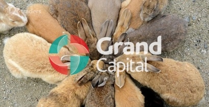 Grand Capital: Только 20 управляющих получат бонус на ПАММ