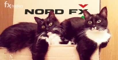 Как удвоить депозит в NordFX?