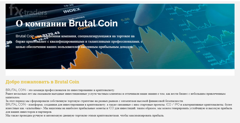 Brutal Coin – новый «развод» для желающих быстро заработать