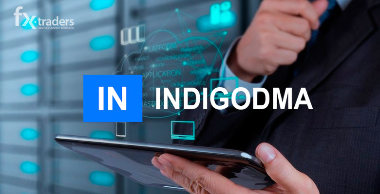 Indigo DMA - брокер для всех и для каждого!