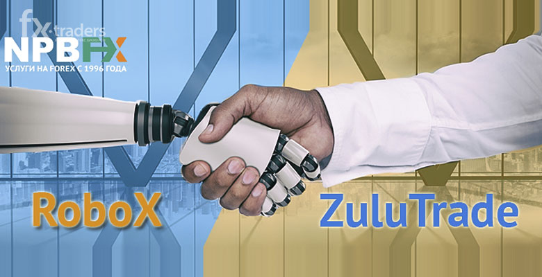 Куда инвестировать выгодно: выбираем между RoboX и ZuluTrade