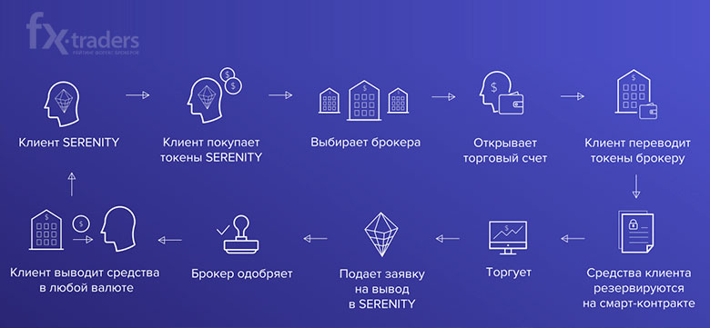 Обзор платформы Serenity Financial