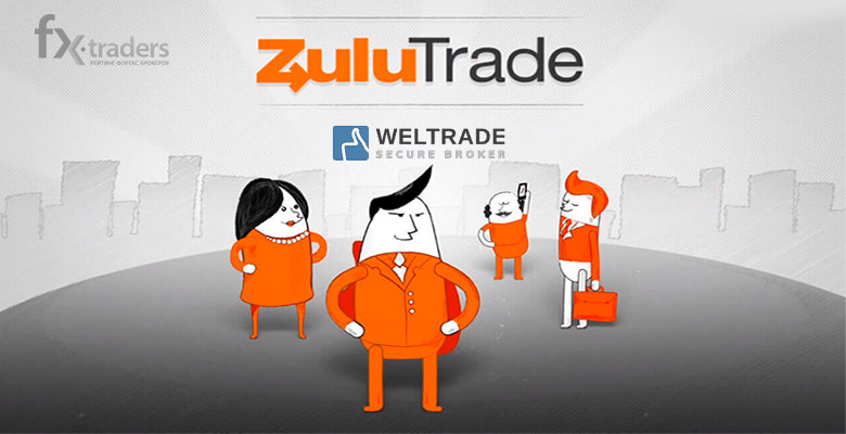 Рейтинг трейдеров Weltrade на Zulutrade