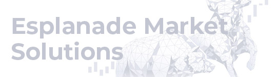 Описание компании Esplanade Market Solutions