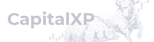 Описание компании CapitalXP