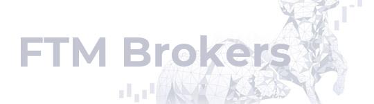 Описание компании FTM Brokers