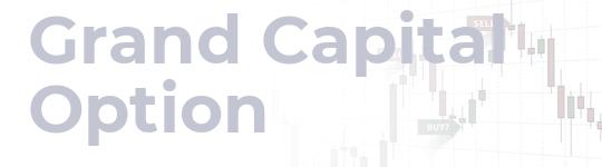 Описание компании Grand Capital Option