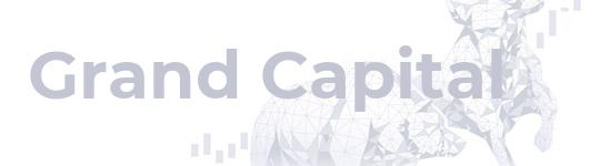Описание компании Grand Capital