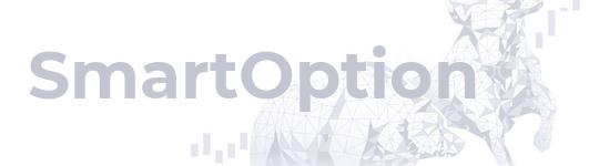 Описание компании SmartOption