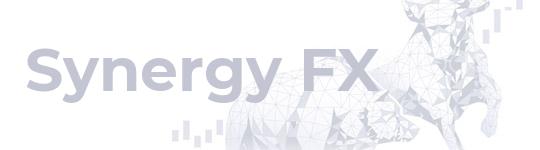 Описание компании Synergy FX